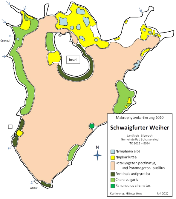 Karte Wasserpflanzenvorkommen im Schwaigfurter Weiher 2020
