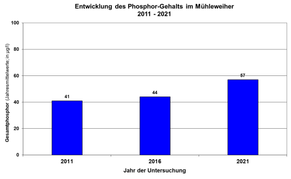 Säulendiagramm Phosphorgehalte im Mühleweiher Leutkirch von 2011 bis 2021