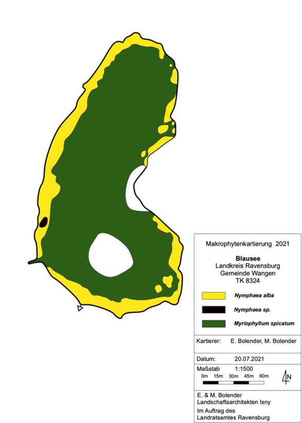 Karte Wasserpflanzenvorkommen Blausee im Jahr 2016