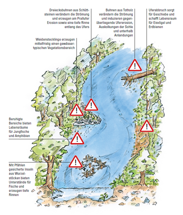 Abbildung naturschonende Gewässerentwicklung