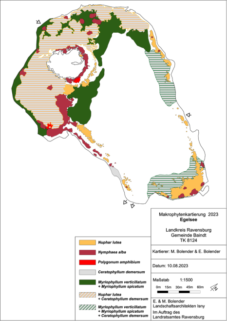 Karte zum Wasserpflanzenvorkommen Egelsee Baindt 2023