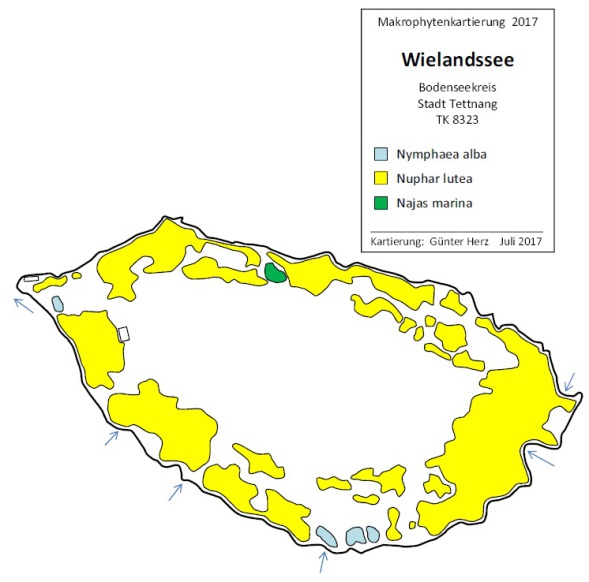 Abbildung Wasserpflanzenvorkommen im Wuhrmühleweiher 2021