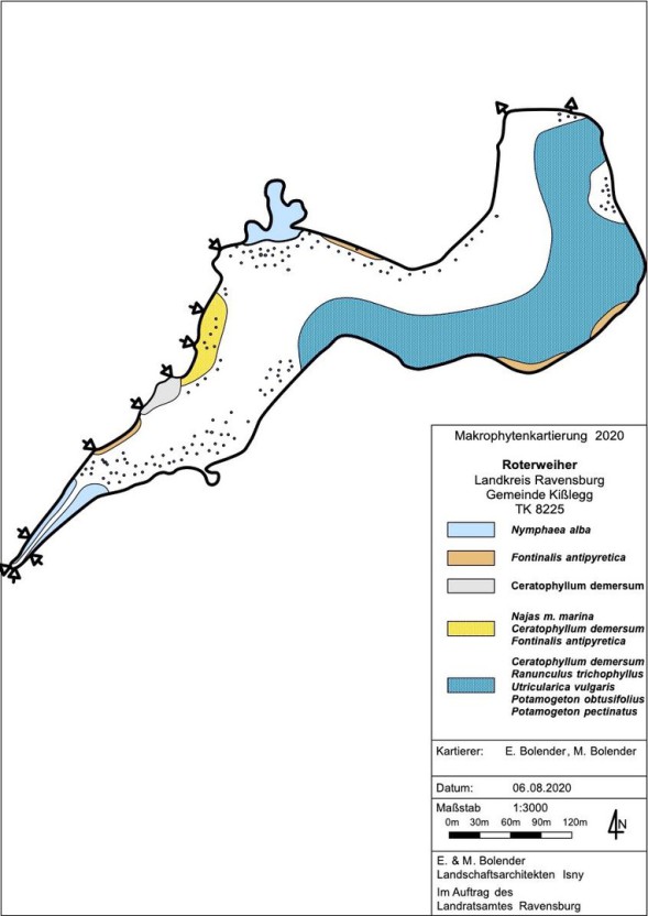 Abbildung Wasserpflanzenvorkommen im Roterweiher 2015