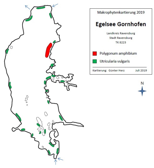 Karte zum Wasserpflanzenvorkommen Egelsee Gornhofen