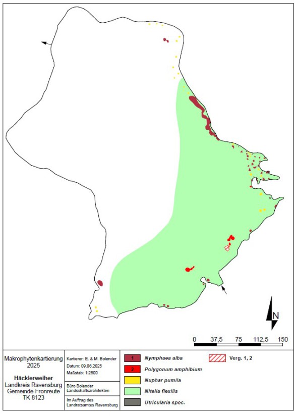 Karte zum Wasserpflanzenvorkommen Häcklerweiher 2025