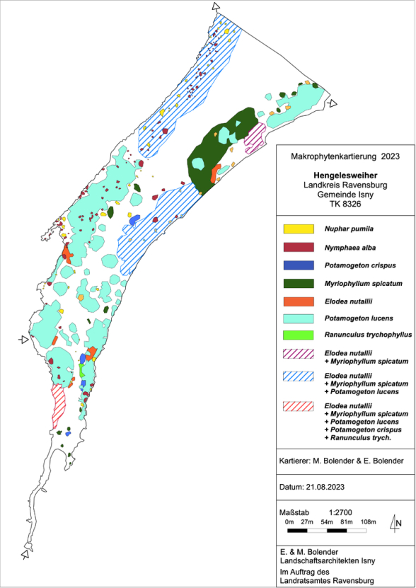 Karte zum Wasserpflanzenvorkommen Hengelesweiher 2023