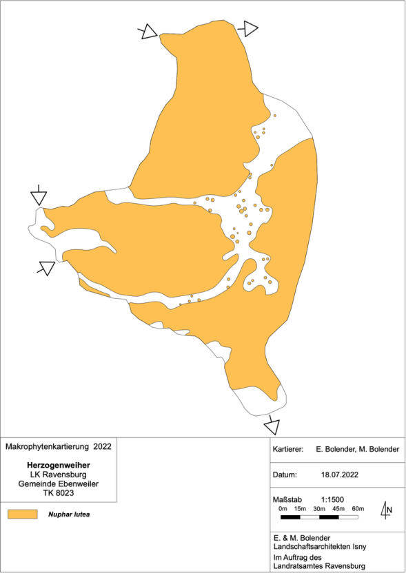 Karte zum Wasserpflanzenvorkommen Herzogenweiher 2022