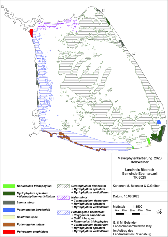 Karte zum Wasserpflanzenvorkommen Holzweiher 2023