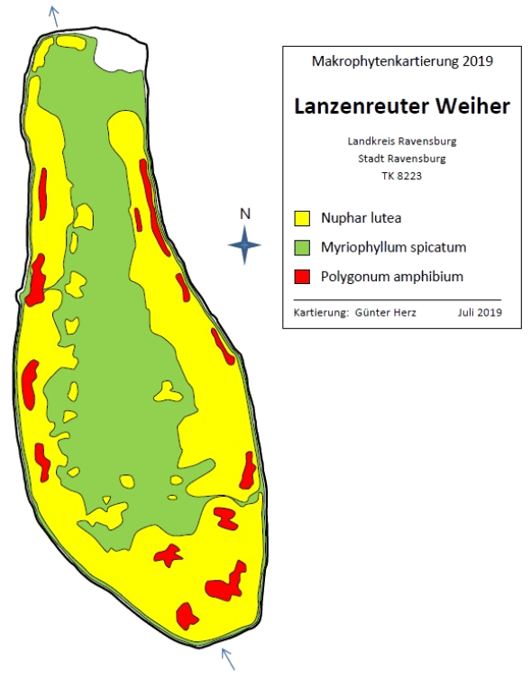 Karte zum Wasserpflanzenvorkommen Lanzenreuter Weiher
