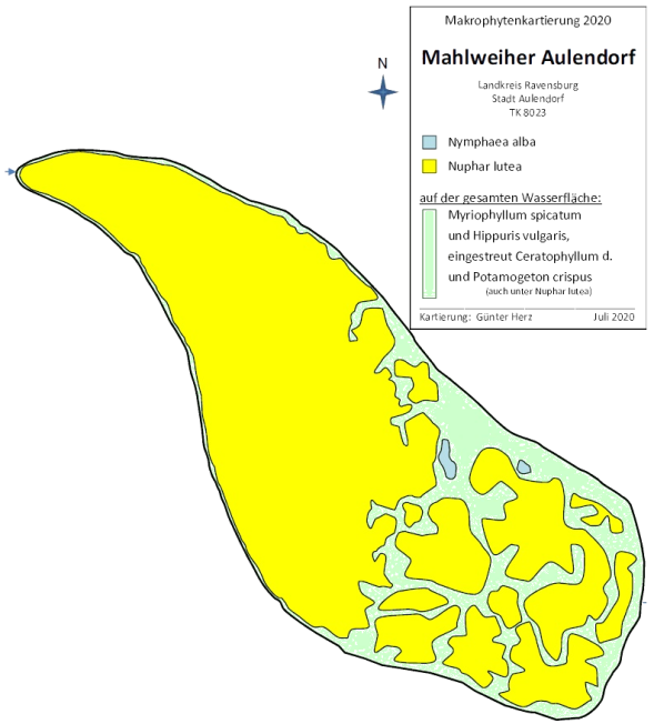 Karte zum Wasserpflanzenvorkommen im Mahlweiher 2020
