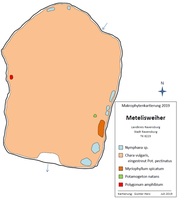 Karte zum Wasserpflanzenvorkommen im Metelisweiher 2019