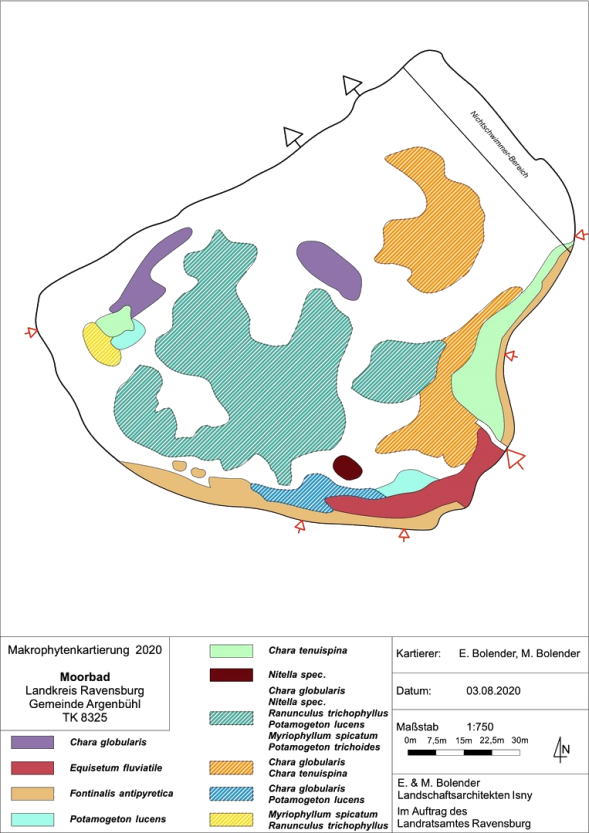 Karte zum Wasserpflanzenvorkommen im Moorbad 2020