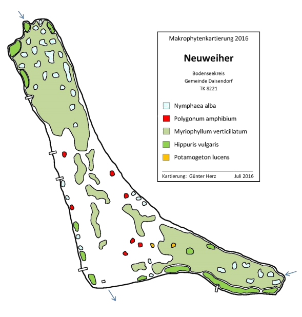 Karte zum Wasserpflanzenvorkommen im Neuweiher 2016