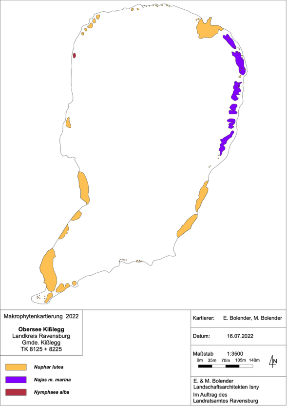 Karte zum Wasserpflanzenvorkommen im Obersee 2022