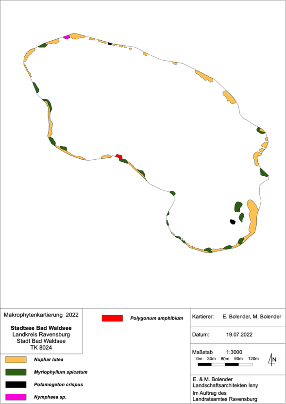 Karte Wasserpflanzenvorkommen im Stadtsee 2022