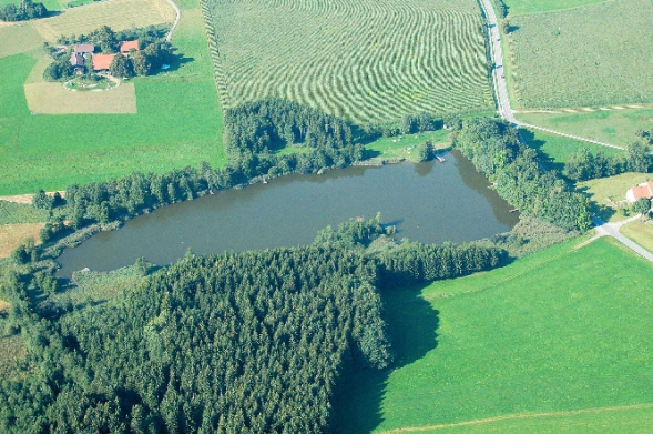 Luftbild vom Tiefenkarte Holzmühleweiher VogtBild vom Elfen- und Girasweiher