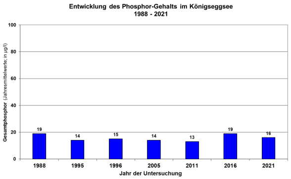 Säulendiagramm Phosphorgehalte im Königseggsee 1988 bis 2021
