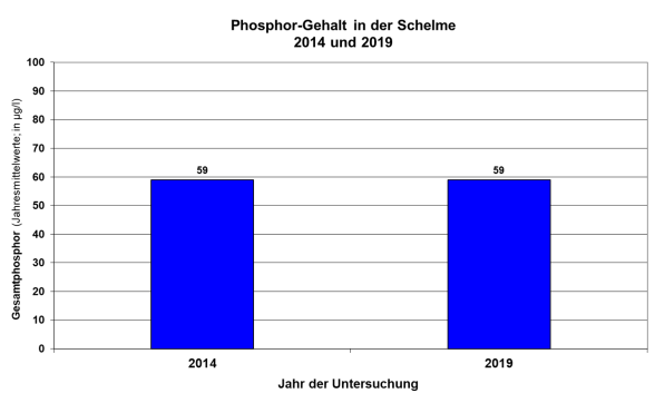 Säulendiagramm Phosphorgehalte Schelme von 2014 bis 2019