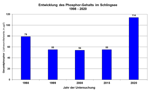 Säulendiagramm Phosphorgehalte Schlingsee 1998 bis 2020
