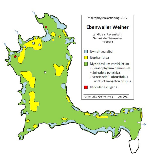Karte Wasserpflanzen im Ebenweiler Weiher im Jahr 2017