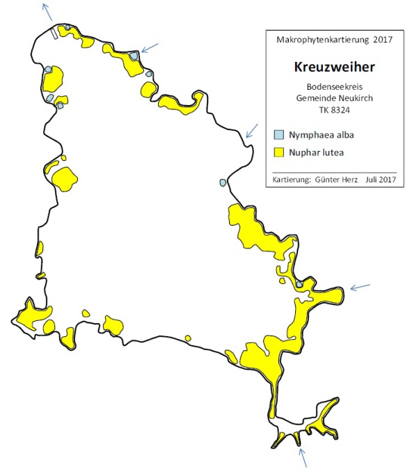 Karte zum Wasserpflanzenvorkommen Kreuzweiher 2017