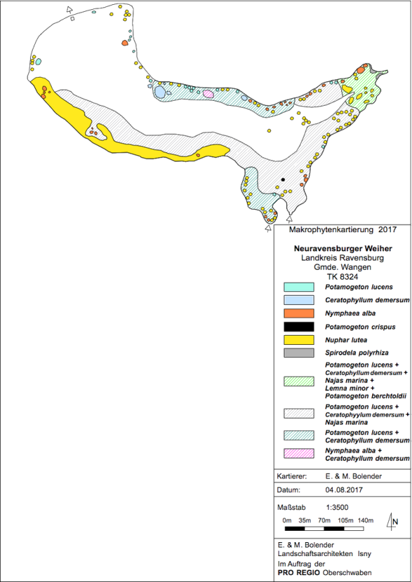 Karte zum Wasserpflanzenvorkommen im Neuravensburger Weiher 2017