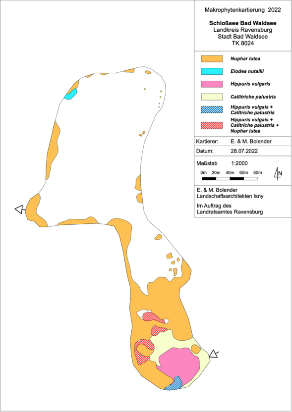 Karte Wasserpflanzenvorkommen im Schloßsee 2022