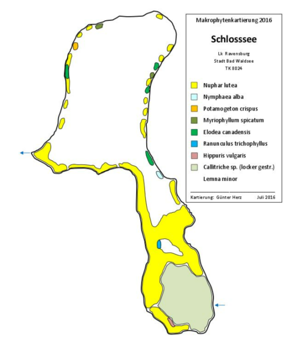 Karte Wasserpflanzenvorkommen im Schloßsee 2016