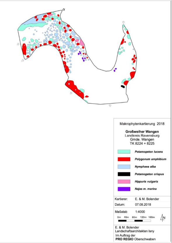 Karte zum Wasserpflanzenvorkommen Großweiher 2018