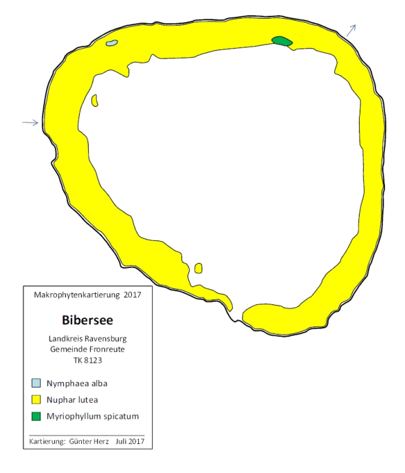 Karte Wasserpflanzenvorkommen Bibersee 2017