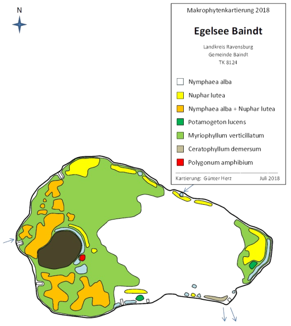 Karte zum Wasserpflanzenvorkommen Egelsee Baindt 2018