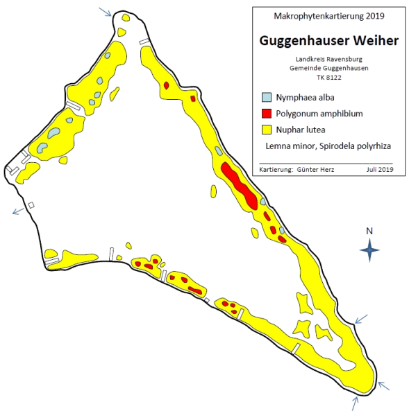 Karte zum Wasserpflanzenvorkommen Guggenhauser Weiher 2019