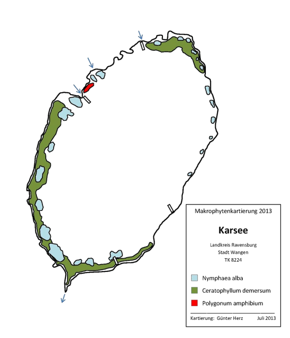 Karte zum Wasserpflanzenvorkommen Karsee 2013