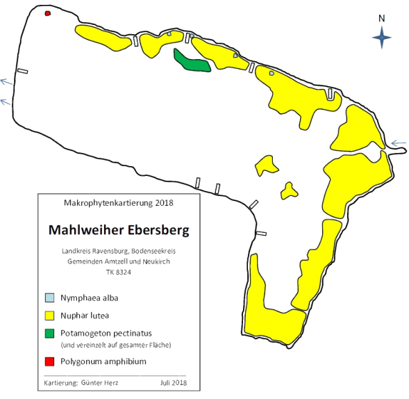 Karte zum Wasserpflanzenvorkommen im Mahlweiher 2018