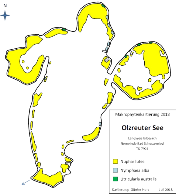 Karte zum Wasserpflanzenvorkommen im Olzreuter See 2018