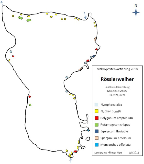 AbbildungWasserpflanzenvorkommen im Rösslerweiher 2018