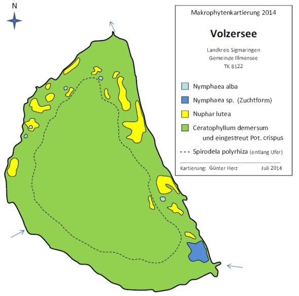 Abbildung Wasserpflanzenvorkommen im Volzersee 2014