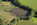 Wangen