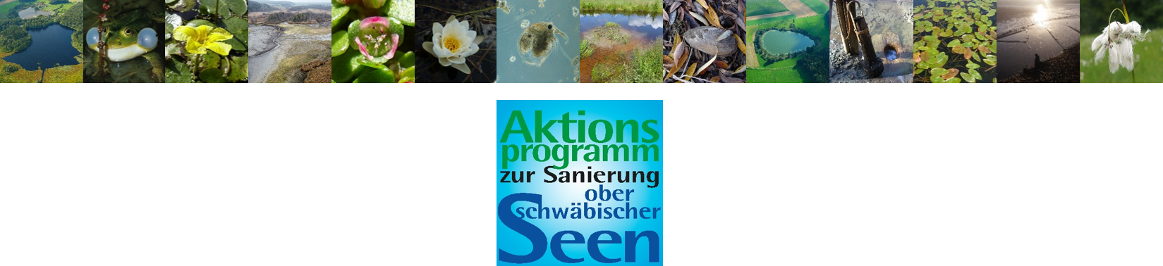 Logo Aktionsprogramm zur Sanierung oberschwäbischer Seen